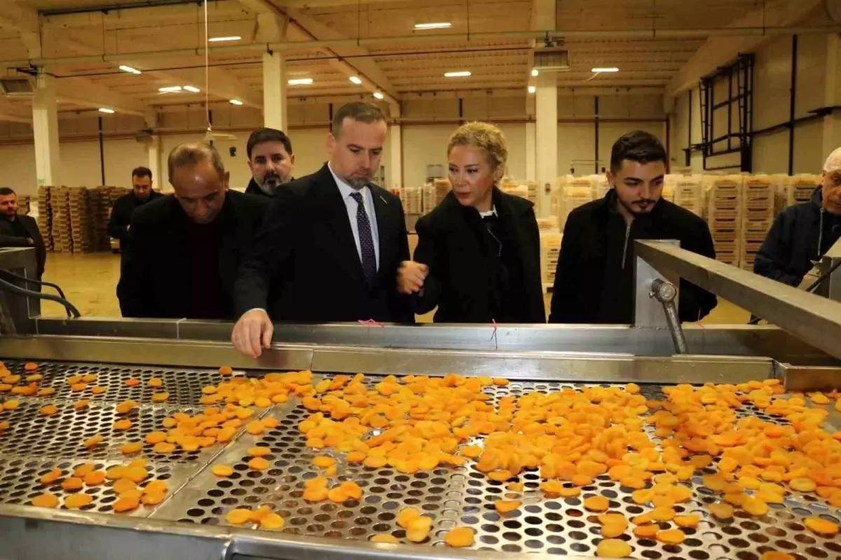 MAGİNDER Yönetimi Malatya OSB’yi Ziyaret Etti