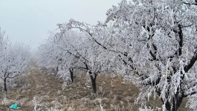 Malatya’nın Doğanşehir İlçesinde Kırağı Manzarası