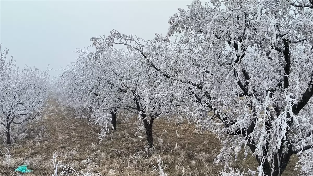 Malatya’nın Doğanşehir İlçesinde Kırağı Manzarası