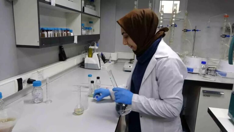 Malatya’nın Kuru Kayısısı Dünyaya Açılıyor