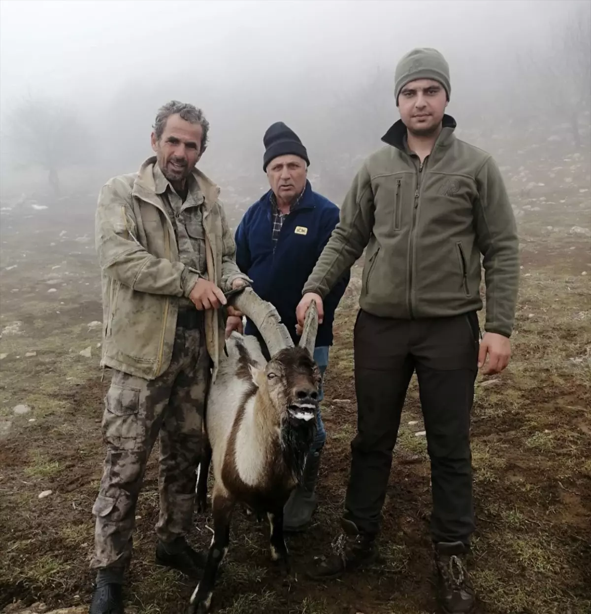 Yaralı Yaban Keçisi Tedavi İçin DKMP’ye Teslim Edildi
