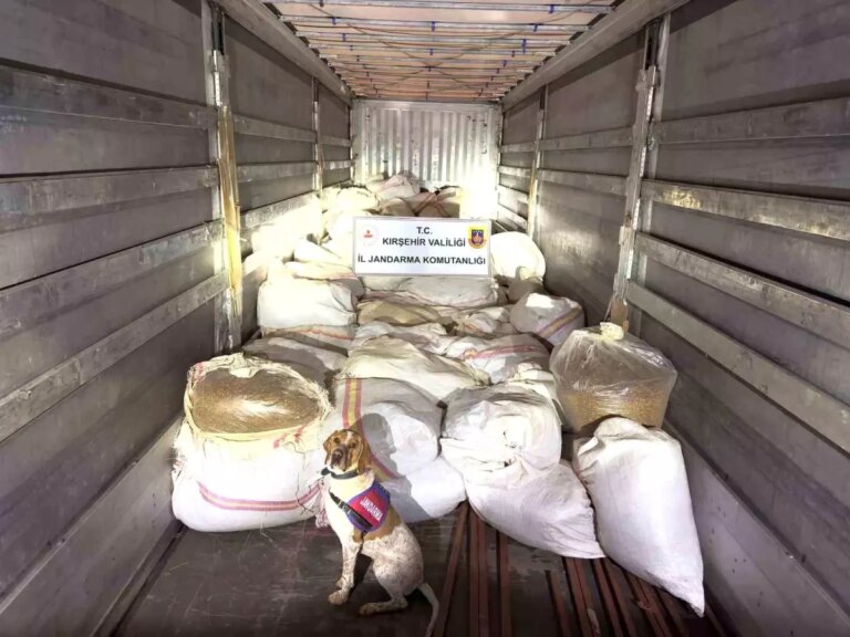 Kırşehir’de 3 Ton Kıyılmış Tütünle Tır Sürücüsü Tutuklandı