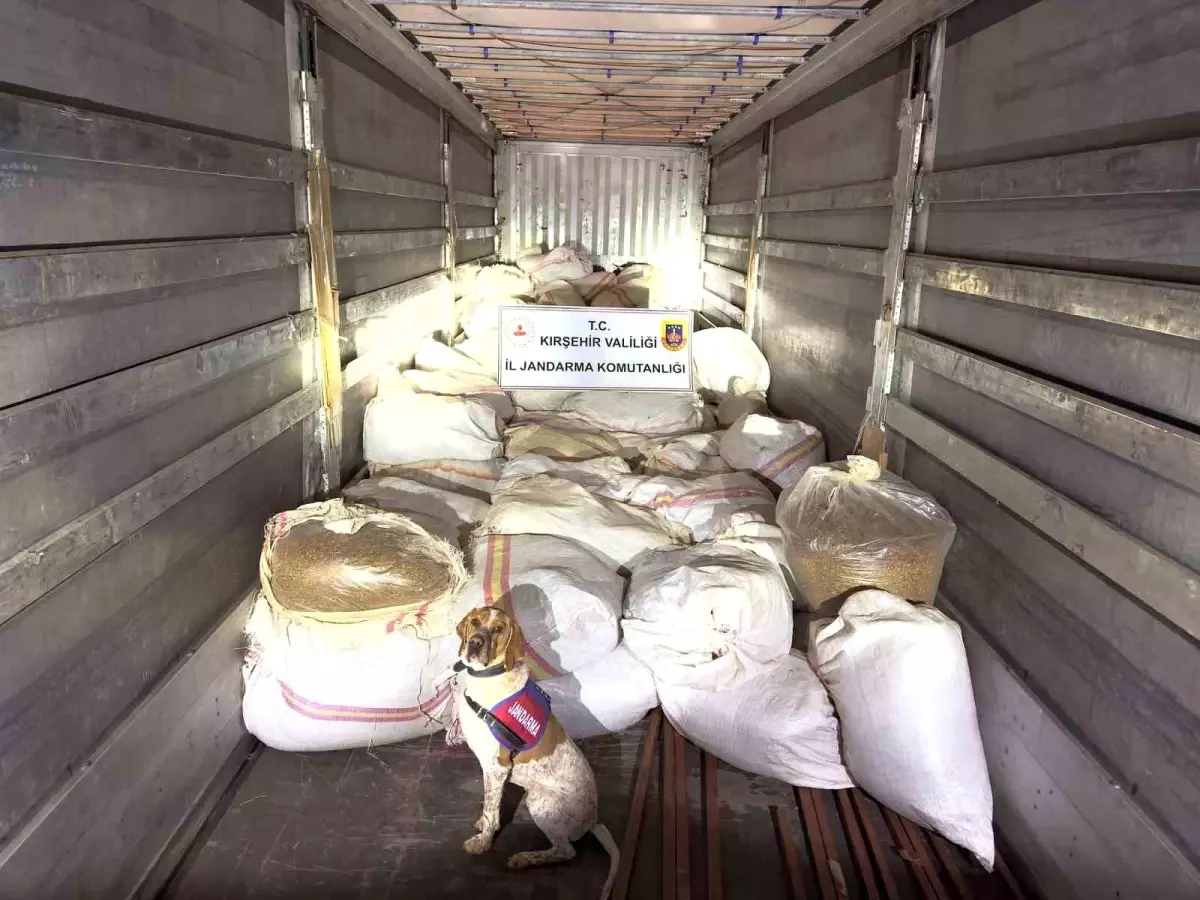 Kırşehir’de 3 Ton Kıyılmış Tütünle Tır Sürücüsü Tutuklandı