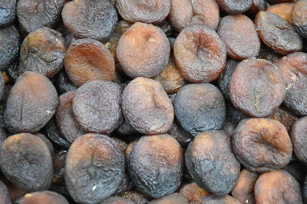 Malatya Kuru Kayısı İhracatında Önemli Başarı